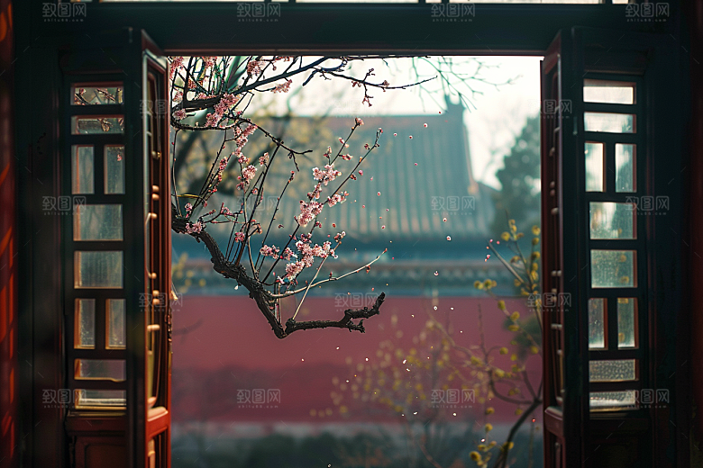 窗外的春色生机盎然美景摄影图