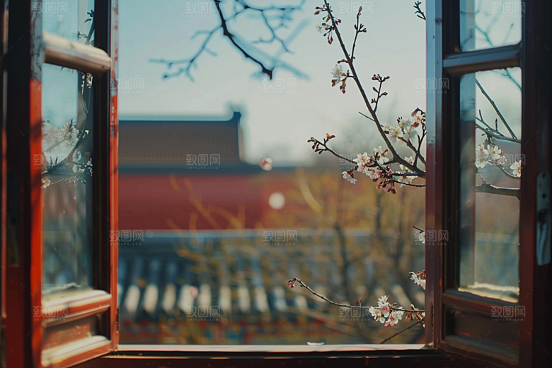 窗外的春色花草树木窗景摄影图