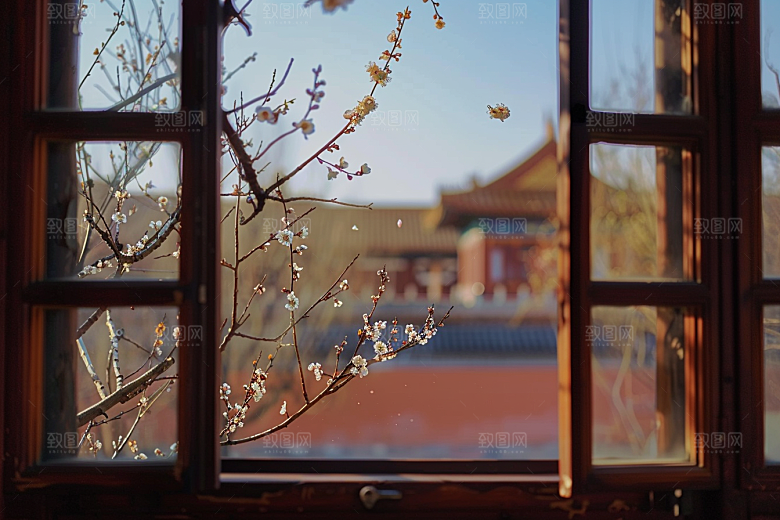 窗外的春色自然景色摄影图