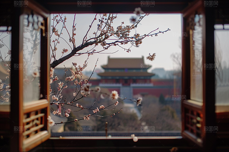 窗外的春色清新花园摄影图