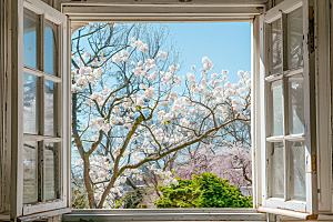 窗外的春色室外窗景摄影图