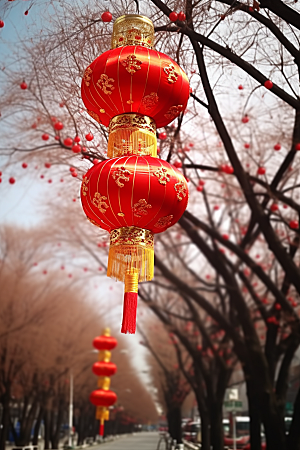 春节灯笼新年高清摄影图