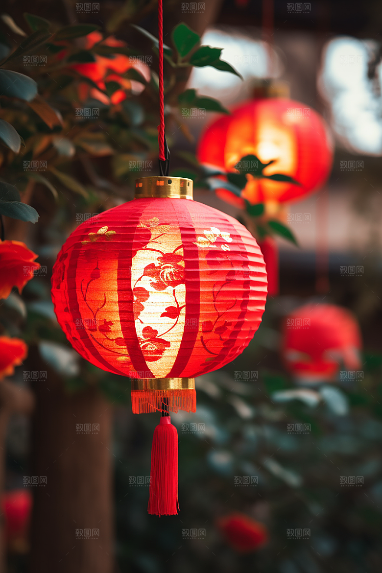春节灯笼挂灯笼喜庆摄影图