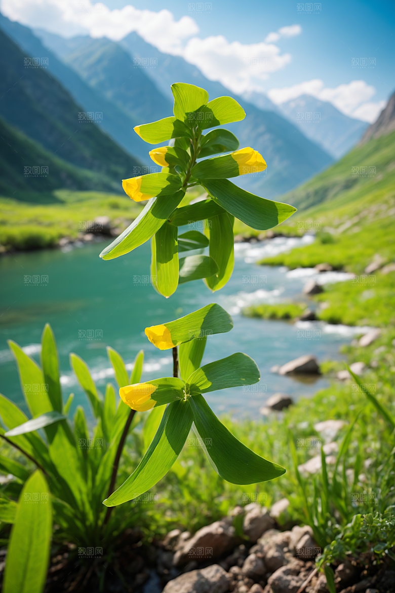 春季春天唯美花卉植物艺术字