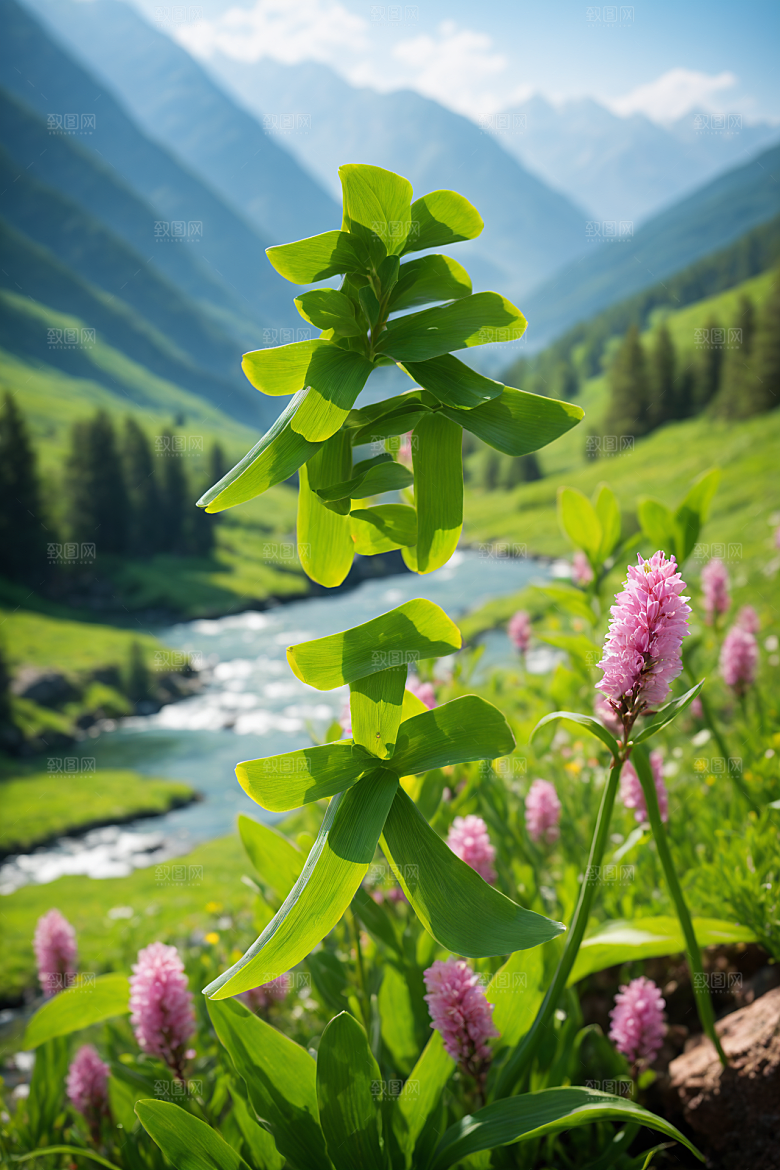 春季春天唯美花卉植物艺术字