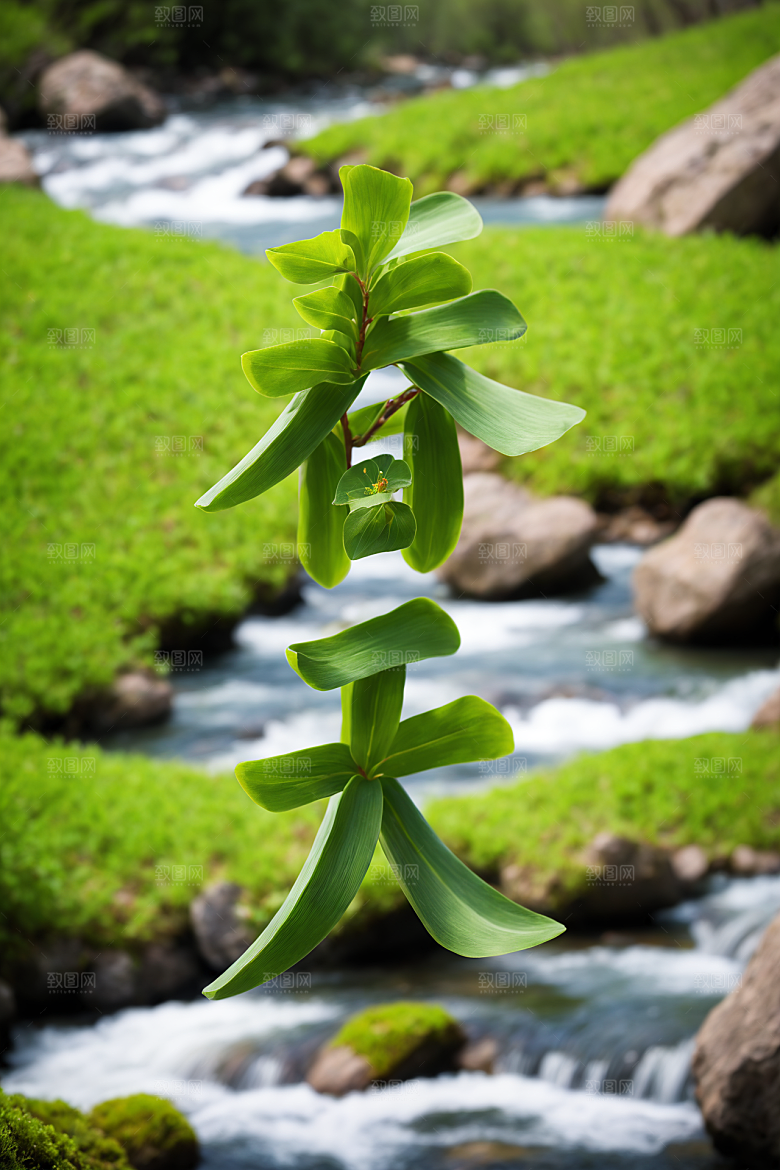 春季春天烂漫立体艺术字