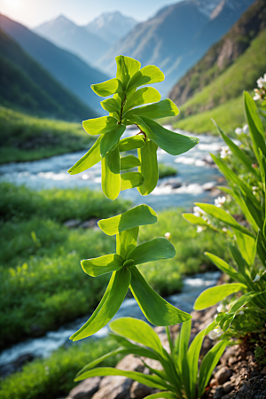 春季春天花卉植物烂漫艺术字