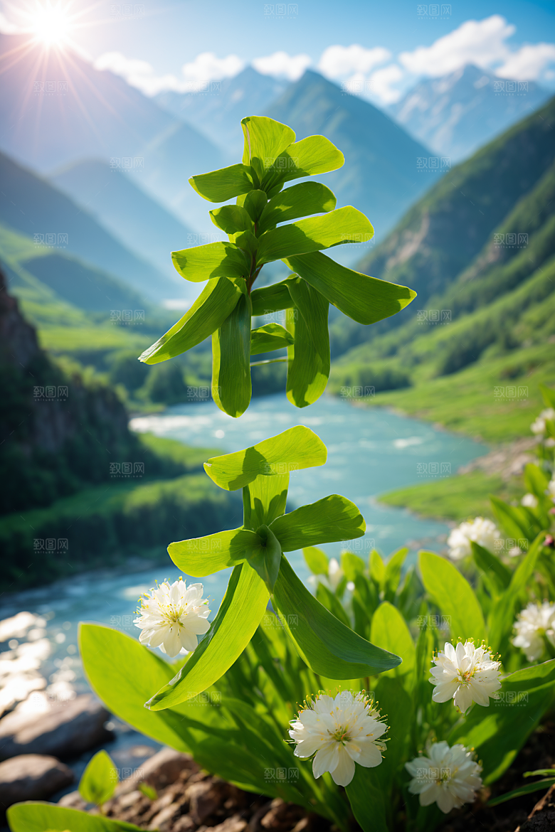 春季春天花卉植物唯美艺术字