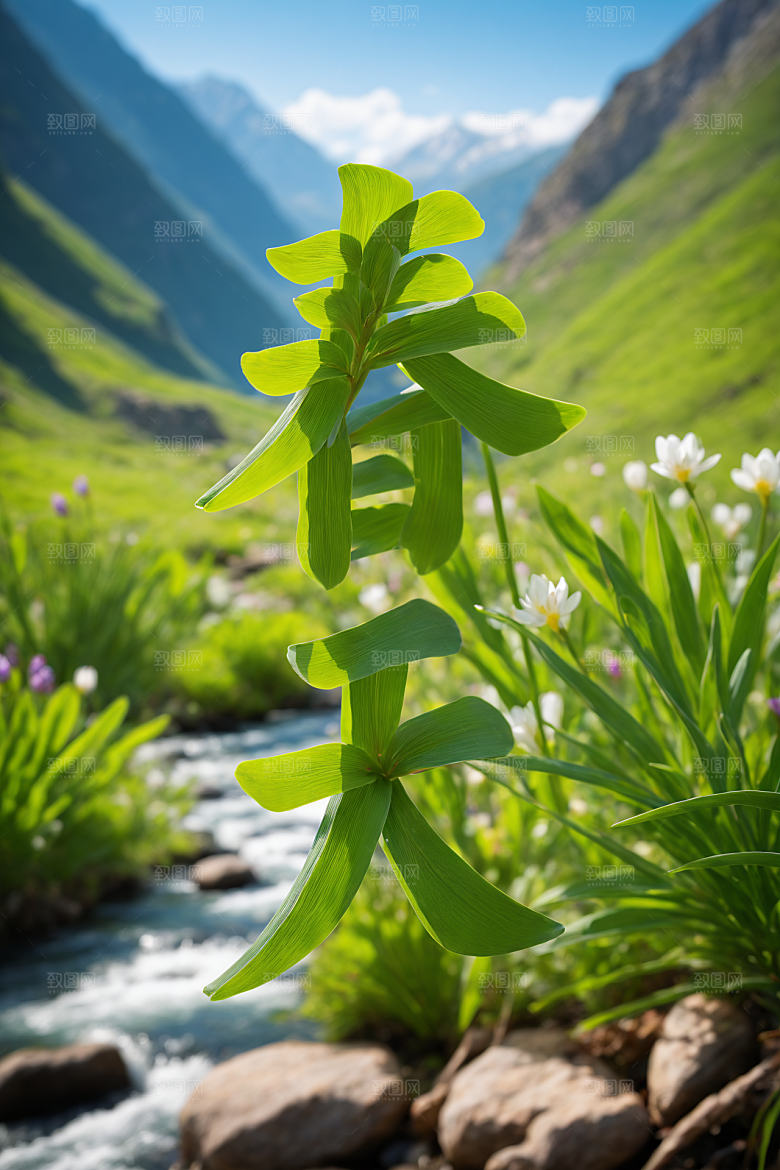 春季春天风光花卉植物艺术字