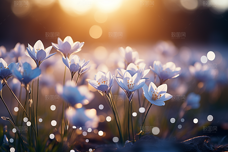 春色风光春天唯美摄影图