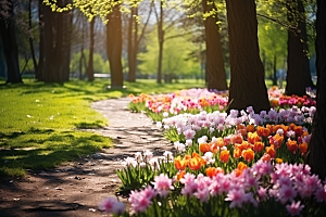 春天风景旅游阳光摄影图