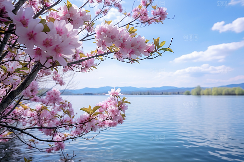 春天风景旅游花草树木摄影图