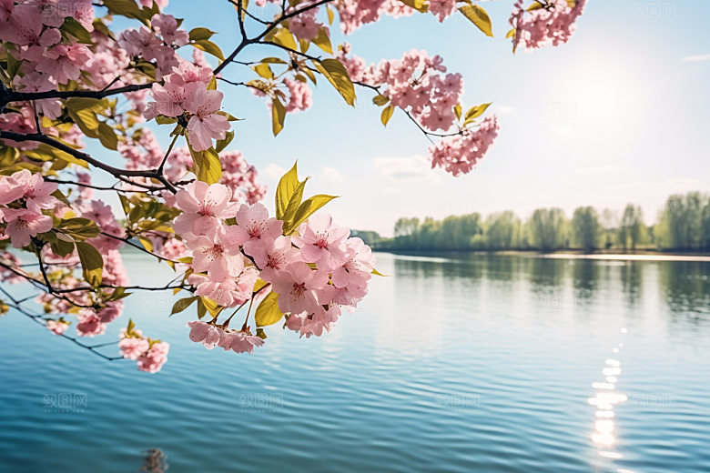 春天风景旅游高清摄影图