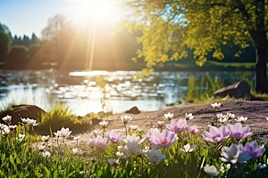 春天风景景色花草树木摄影图