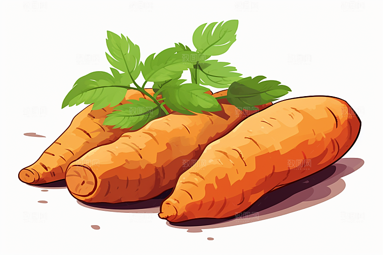 红薯山芋食材插画