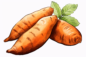红薯碳水地瓜插画