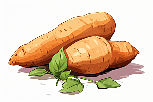 红薯食材手绘插画