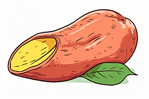 红薯地瓜番薯插画