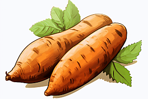 红薯手绘食材插画