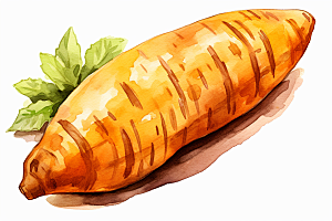 红薯番薯地瓜插画