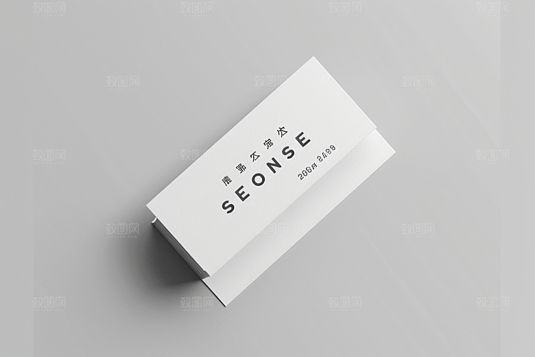 代金券大气设计感样机