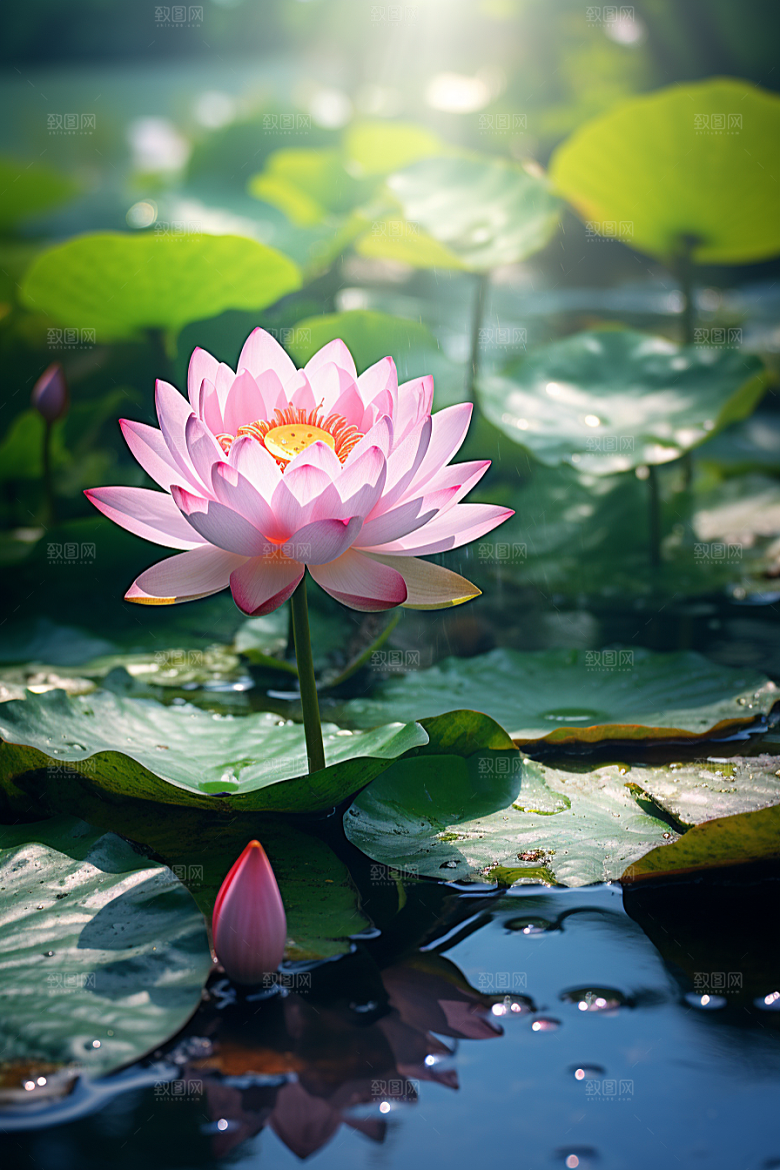 大暑二十四节气炎热素材