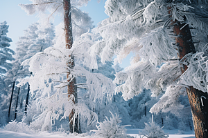 大雪风光美景浪漫摄影图