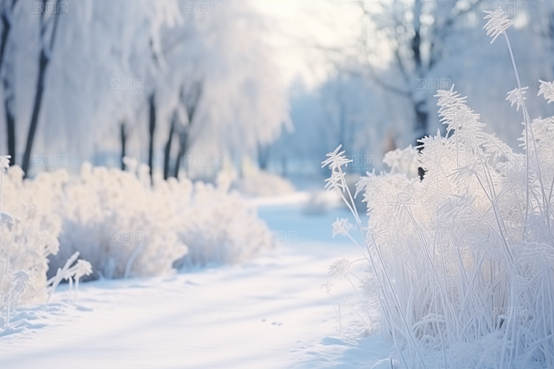 大雪风光寒冷自然摄影图