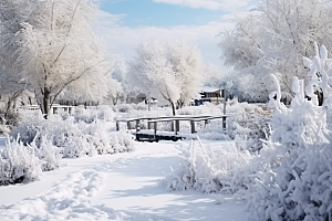 大雪风光唯美景色摄影图