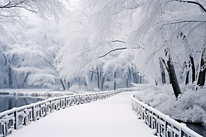 大雪风光室外景色摄影图