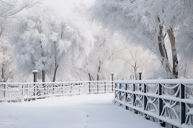 大雪风光寒冷环境摄影图