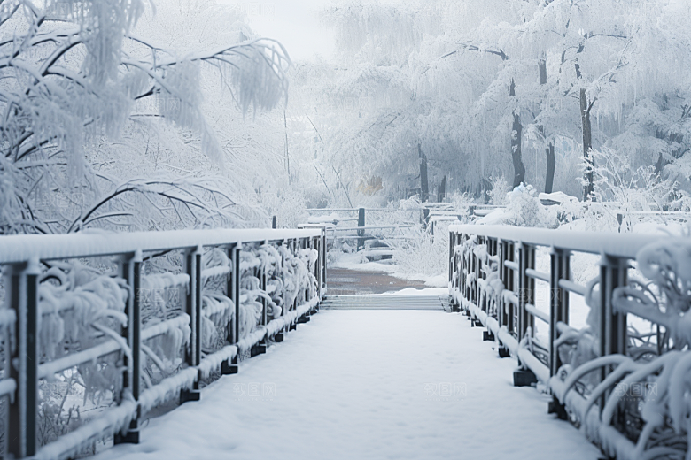 大雪风光景色环境摄影图