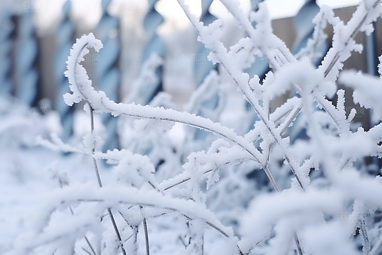 大雪风光户外景色摄影图