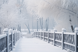 大雪风光景色唯美摄影图