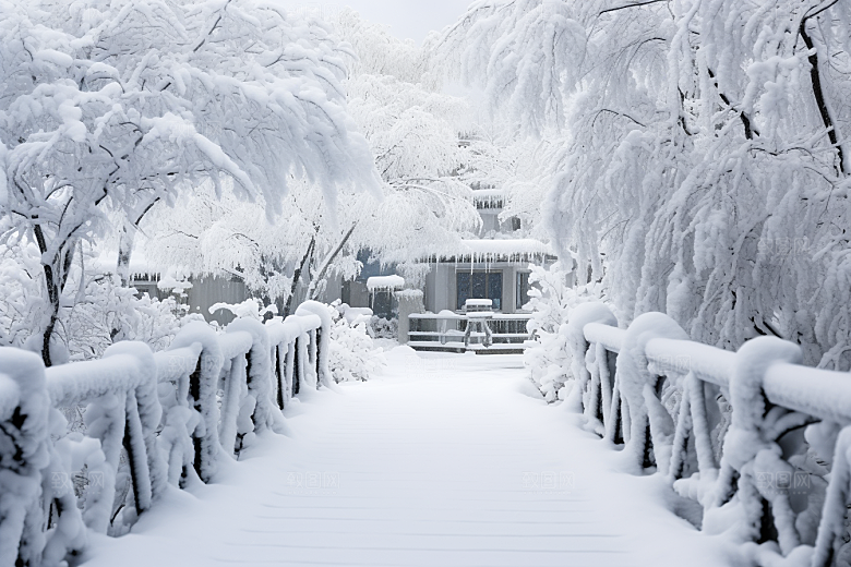 大雪风光高清室外摄影图