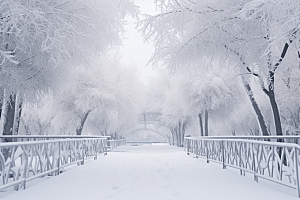 大雪风光唯美景色摄影图