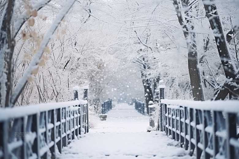 大雪风光冬天冬季摄影图