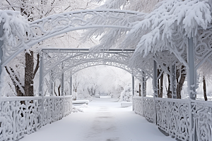 大雪风光冬天自然摄影图