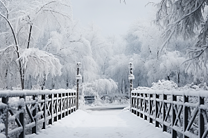 大雪风光景色唯美摄影图