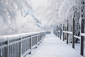 大雪风光唯美寒冷摄影图