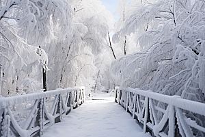 大雪风光室外冬季摄影图
