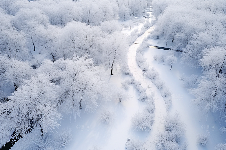 大雪风光寒冷室外摄影图