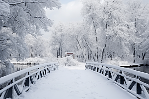 大雪风光冬季室外摄影图