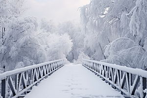 大雪风光冬天冬季摄影图