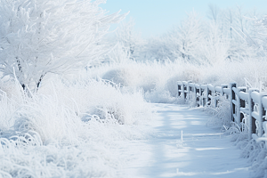 大雪风光自然寒冷摄影图