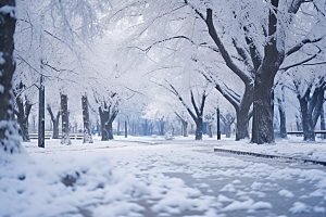 大雪风光冬天景色摄影图