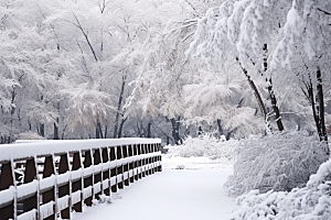 大雪风光自然环境摄影图
