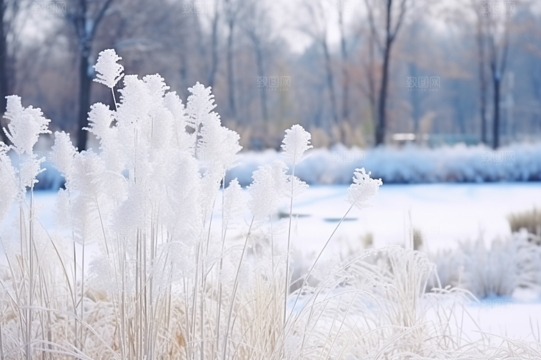 大雪风光自然寒冷摄影图
