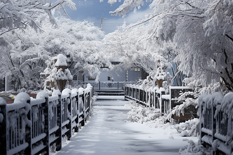 大雪风光自然唯美摄影图