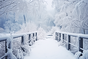 大雪风光寒冷高清摄影图